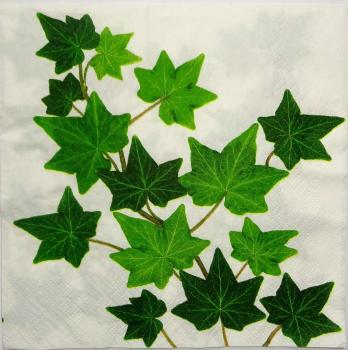 030 Plants - 3 ply (weiß)