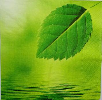 051 Plants - 3 ply - Paper Design