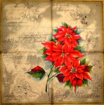 098 Christmas Flowers - 3-ply (beige) - Ihr