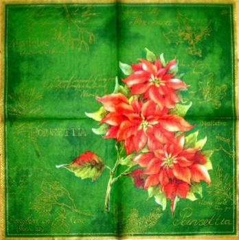 098 Christmas Flowers - 3-ply (98 gr�n) - Ihr - CS