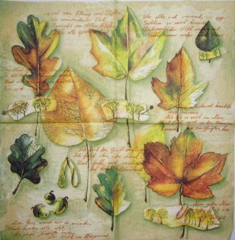 092 Autumn - 3-ply - Ihr - CS