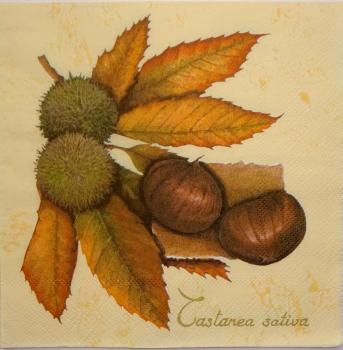 096 Herbst - 3-lagig - Ambiente