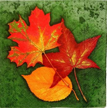 101 Autumn - 3-ply