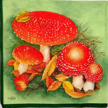 105 Herbst - 3-lagig (gr�n) - Ambiente