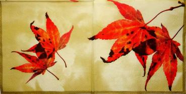 108 Herbst - 3-lagig