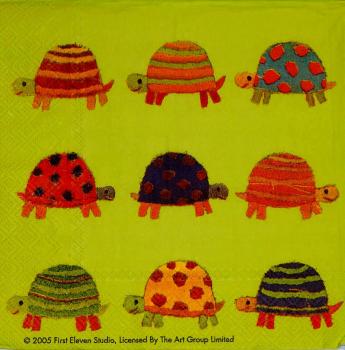019 Schildkröte - 3-lagig - (grün) - Ihr - First Eleven Studio 2005