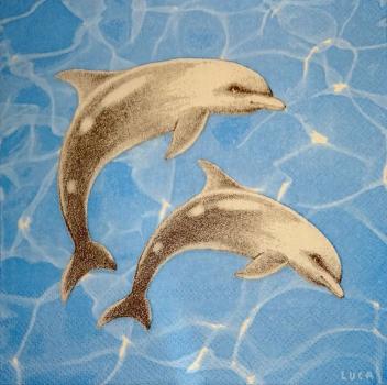 029 Dolphin / Whale / Shark - 3-ply - ppd - LUCA