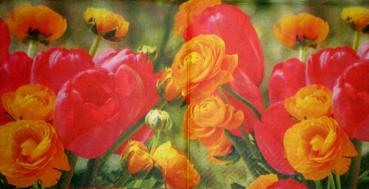 021 Tulpen - 3-lagig
