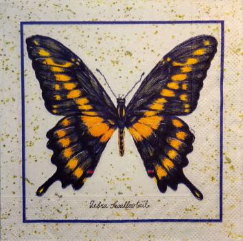 113 Butterflies - 3-ply