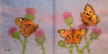 114 Butterflies - 3-ply  - Ladies Mol / Molca