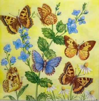 132 Butterflies - 3-ply