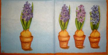 028 Daffodils,  Hyacinths,  Maigl�ckchen, Crocus