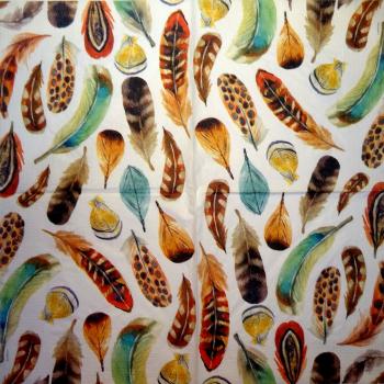 015 Feathers - 3-ply - Shutterstock