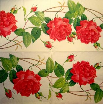 018 Roses - 3-ply - Ambiente