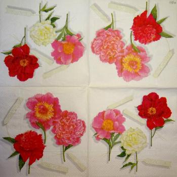124 Magnolias - 3-ply (weiß) - Ambiente - CS