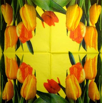 020 Tulpen - 3-lagig (gelb)