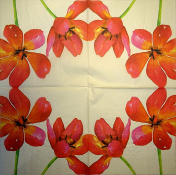 015 Tulpen - 3-lagig (creme)
