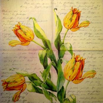 097 Tulips - 3-ply (cream/purple) - Ihr
