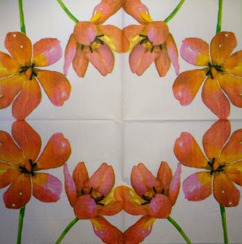 015 Tulpen - 3-lagig (rosa)