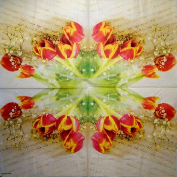 229 Tulpen - 3-lagig - Ambiente