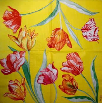 233 Tulips - 3-ply - Eva Logell