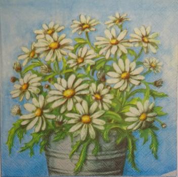 241 Daisies  - 3 ply -  (blue) - Fasana