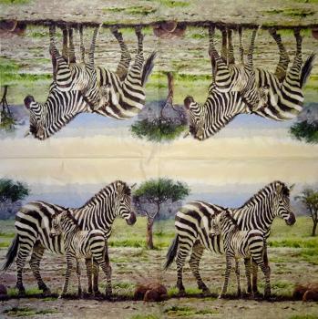 001 Zebra - 3-ply - Ambiente