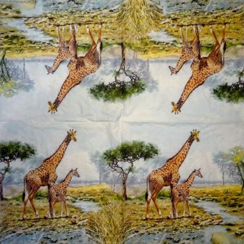 023 Giraffe - 3-ply - Ambiente