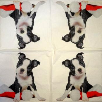 254 Dogs - 3-ply - Paper Design