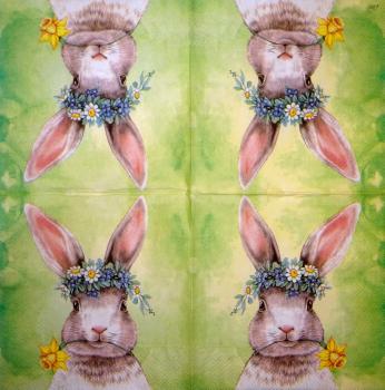 010 Rabbits:  natürlich - 3 ply - Ihr