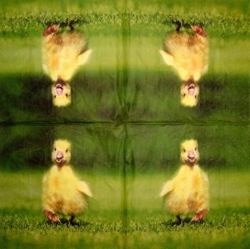 197 Enten - 3-lagig - Paper Design