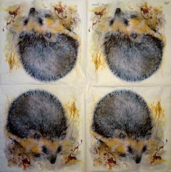 080 Animals Autumn - 3-ply - Ihr - Meyer-Gasters