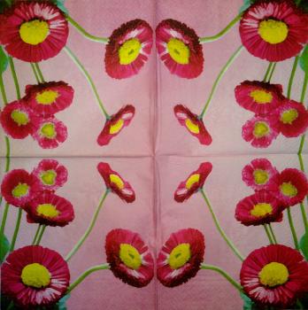 025 Gänseblümchen - 3-ply