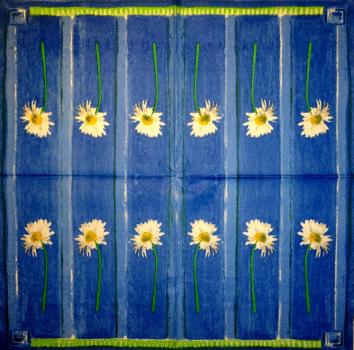 026 Gänseblümchen - 3-ply