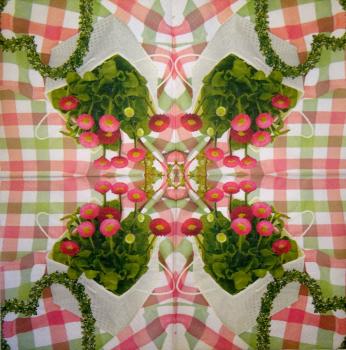 024 Gänseblümchen - 3-ply - Ti-Flair