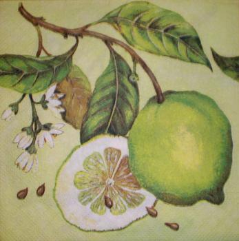 006 Lemons,  Oranges - 3-ply - yellow