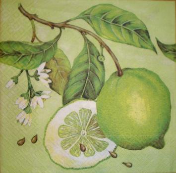 006 Lemons,  Oranges - 3-ply - grün