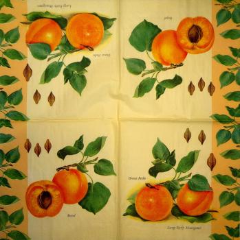123 Lemons,  Oranges - 3-ply (orange) - Ihr - Tassotti Design