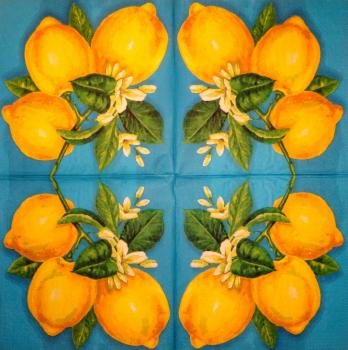 109 Lemons,  Oranges - 3-ply - (blue)