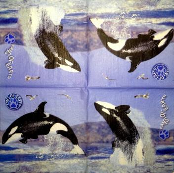 033 Dolphin / Whale / Shark - 3-ply