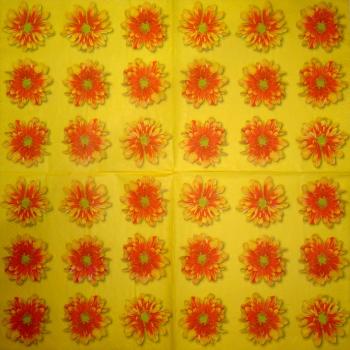 059 Daisies - 3-ply - (orange)