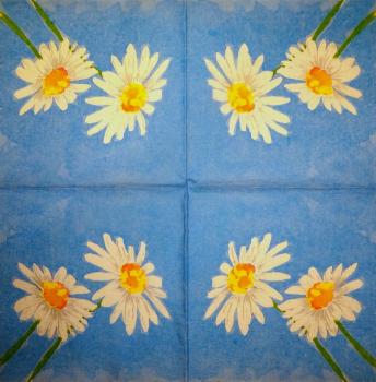 060 Daisies - 3-ply
