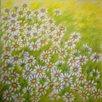 096 Daisies - 3-ply - Molca - Ladies Mol
