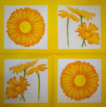 141 Margeriten - 3-lagig - (orange) - Molca