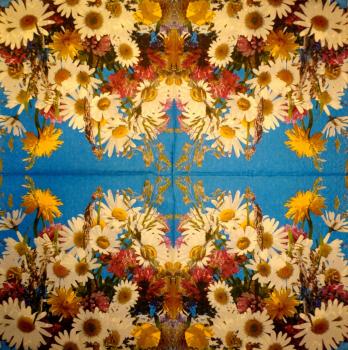 146 Daisies - 3-ply - Stewo