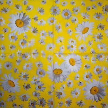 319 Daisies - 3-ply - Atelier