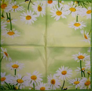 333 Daisies - 3-ply - Ihr