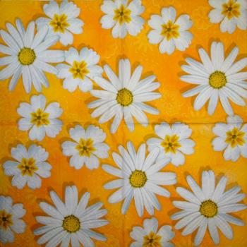 342 Margeriten - 3-lagig - CS