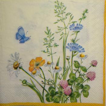 344 Daisies - 3-ply - CS