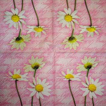 348 Daisies - 3-ply - CS